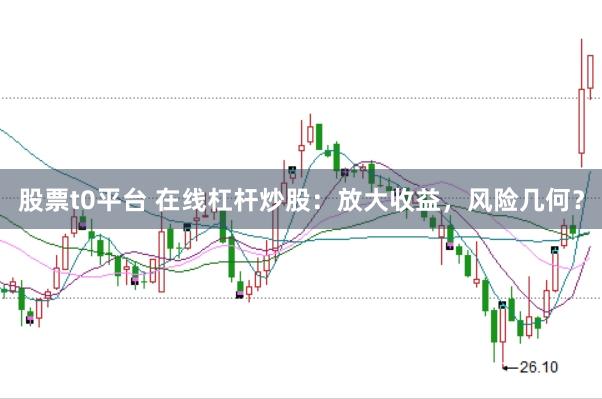 股票t0平台 在线杠杆炒股：放大收益，风险几何？