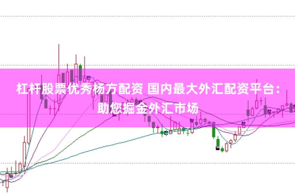 杠杆股票优秀杨方配资 国内最大外汇配资平台：助您掘金外汇市场