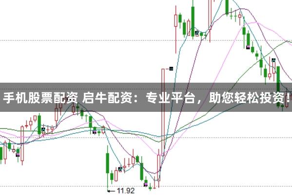手机股票配资 启牛配资：专业平台，助您轻松投资！