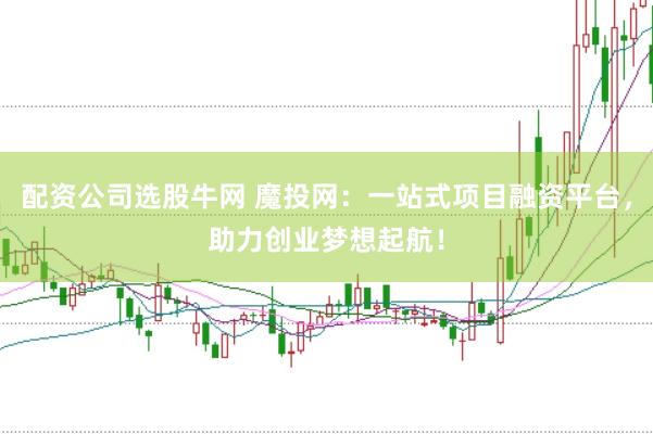 配资公司选股牛网 魔投网：一站式项目融资平台，助力创业梦想起航！