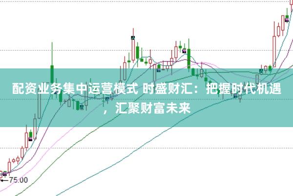 配资业务集中运营模式 时盛财汇：把握时代机遇，汇聚财富未来