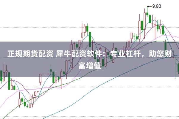 正规期货配资 犀牛配资软件：专业杠杆，助您财富增值