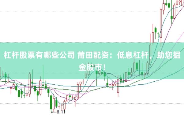杠杆股票有哪些公司 莆田配资：低息杠杆，助您掘金股市！