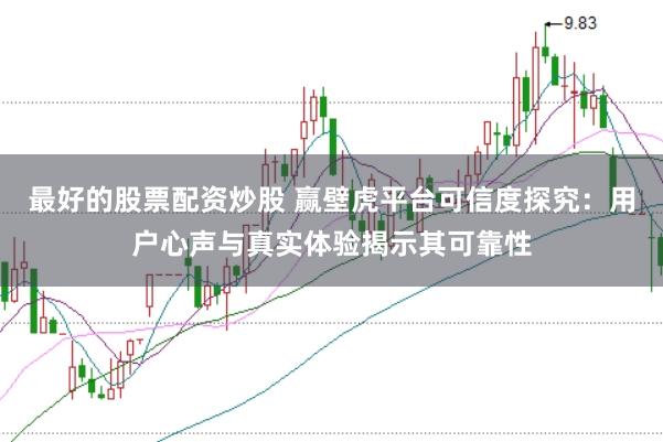 最好的股票配资炒股 赢壁虎平台可信度探究：用户心声与真实体验揭示其可靠性