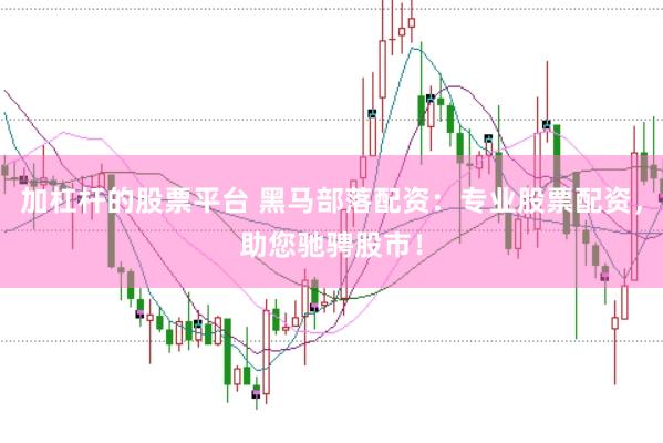 加杠杆的股票平台 黑马部落配资：专业股票配资，助您驰骋股市！