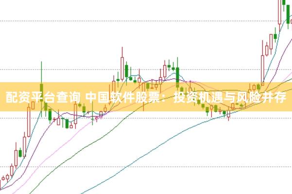 配资平台查询 中国软件股票：投资机遇与风险并存