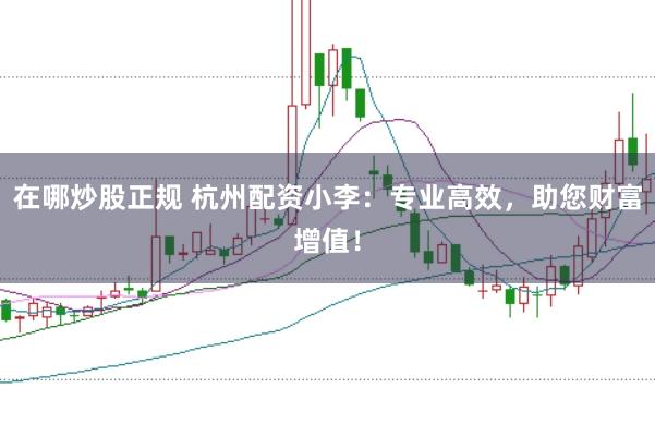 在哪炒股正规 杭州配资小李：专业高效，助您财富增值！