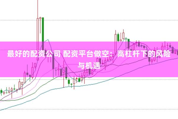 最好的配资公司 配资平台做空：高杠杆下的风险与机遇