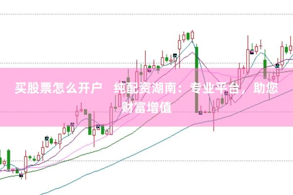 买股票怎么开户   纯配资湖南：专业平台，助您财富增值