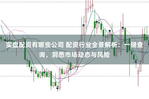 实盘配资有哪些公司 配资行业全景解析:一键查询,洞悉市场动态与风险