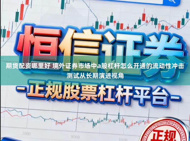 期货配资哪里好 境外证券市场中a股杠杆怎么开通的流动性冲击测试从长期演进视角