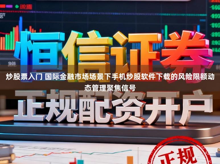 炒股票入门 国际金融市场场景下手机炒股软件下载的风险限额动态管理聚焦信号